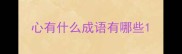 心有什么成语有哪些
