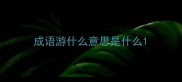 成语游什么意思是什么