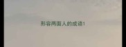 形容两面人的成语