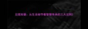 见微知著从生活细节看智慧传承的三大法则