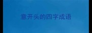 意开头的四字成语