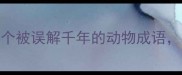 鼯鼠饮河一个被误解千年的动物成语藏着哪些智慧