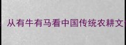 牛马并驱成语全从有牛有马看中国传统农耕文化中的智慧传承