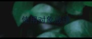 使用对象成语
