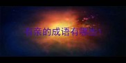 有亲的成语有哪些