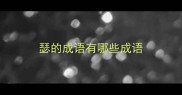 瑟的成语有哪些成语