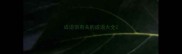 成语信有关的成语大全