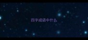 四字成语中什么