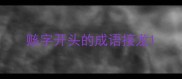 赅字开头的成语接龙