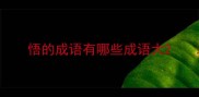 悟的成语有哪些成语大