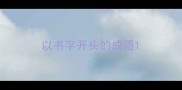 以书字开头的成语