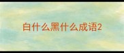 白什么黑什么成语