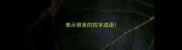 表示很美的四字成语