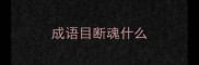 成语目断魂什么