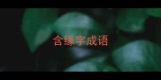 含缘字成语