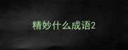 精妙什么成语