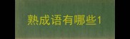 熟成语有哪些