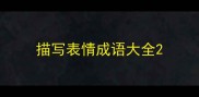 描写表情成语大全