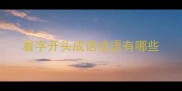 着字开头成语成语有哪些