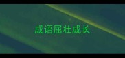 成语屈壮成长