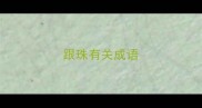 跟珠有关成语