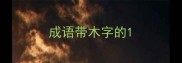 成语带木字的