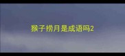 猴子捞月是成语吗