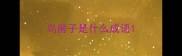 鸟房子是什么成语