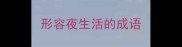 形容夜生活的成语