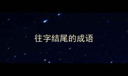 往字结尾的成语