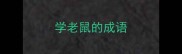 学老鼠的成语