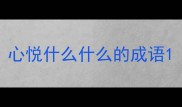 心悦什么什么的成语