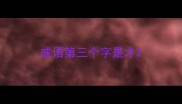 成语第三个字是才