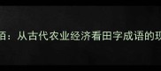 田连阡陌从古代农业经济看田字成语的现代启示
