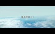 成语壁什么
