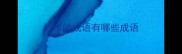 战术的成语有哪些成语