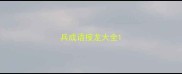兵成语接龙大全