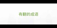 有翻的成语
