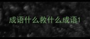 成语什么救什么成语