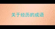 关于经历的成语