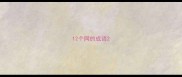 12个网的成语