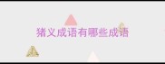 猪义成语有哪些成语