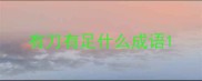 有刀有足什么成语