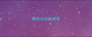 梅花对应的成语