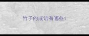 竹子的成语有哪些