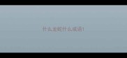 什么龙蛇什么成语