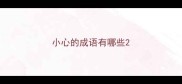 小心的成语有哪些