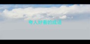 夸人好看的成语