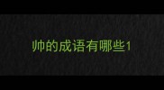 帅的成语有哪些