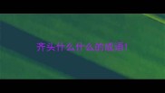 齐头什么什么的成语